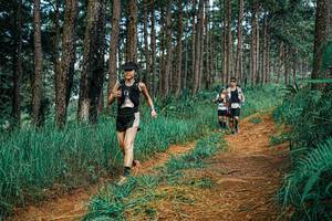 BIB: 
                            <button type="button" onclick="openModal(25750087)" class="btn btn-primary btn-sm float-right btn-popup" data-toggle="modal" data-target=".modal-high-quality">
                        <i class="fas fa-shopping-cart"></i> Add to Cart
                    </button>
                                            <button type="button" onclick="isThisMe(25750087, true)" class="btn btn-success btn-sm float-right btn-popup btn-isme hidden" data-toggle="tooltip" data-placement="bottom" title="นี่คือรูปของคุณใช่ไหม คลิกที่นี่เพื่อเอาเข้าอัลบั้ม">
                        <i class="fas fa-plus"></i> Add to album
                    </button>
                    <button type="button" onclick="isThisMe(25750087, false)" class="btn btn-warning btn-sm float-right btn-popup btn-isnotme hidden">
                        <i class="fas fa-ban"></i> Remove from album
                    </button>